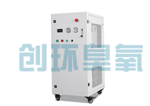 湖北石斑鱼养殖水质调控完整指南:臭氧发生器配置与操作步骤
