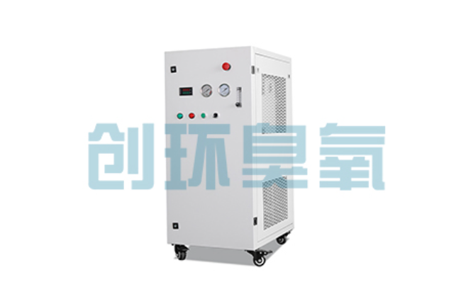 湖北比传统换水更高效?臭氧发生器在石斑鱼养殖中的水质净化原理解析