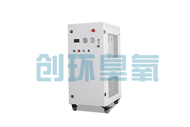 湖北比传统换水更高效?臭氧发生器在石斑鱼养殖中的水质净化原理解析
